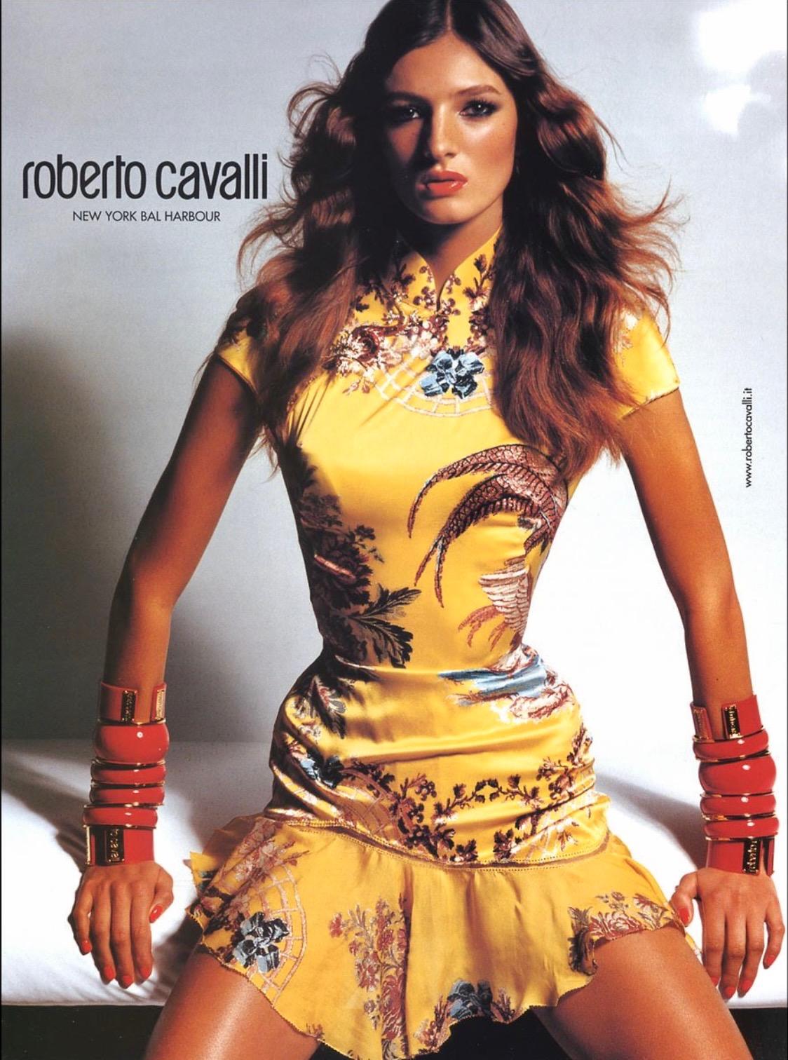 S/S 2003 Roberto Cavalli Pink Chinoiserie Printed Stretch Cardigan Sheer Top