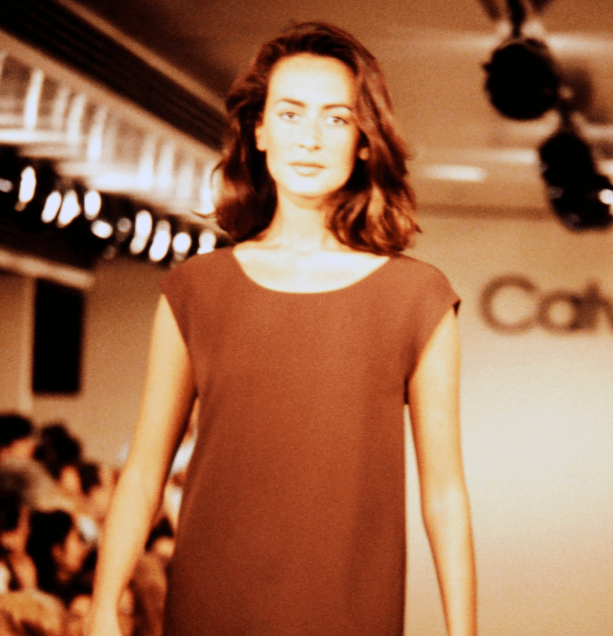 F/W 1991 Calvin Klein Brown Silk Wide V Neck Mini Shift Dress - RealList