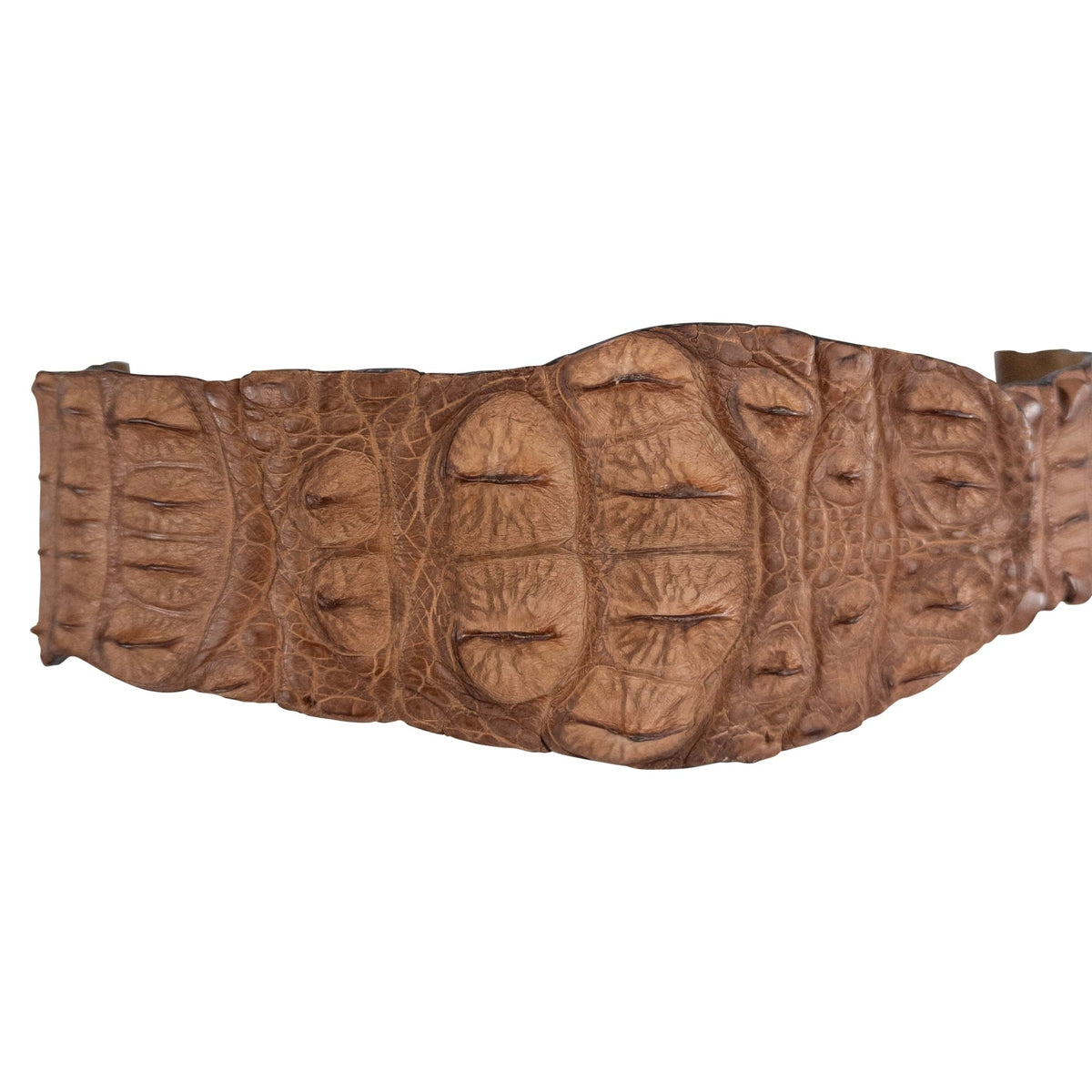 S/S 2005 Roberto Cavalli Runway Genuine Crocodile Light Brown Belt - RealList